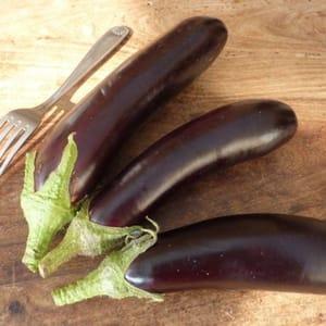 Plant d'aubergine Longue violette de Barbentane