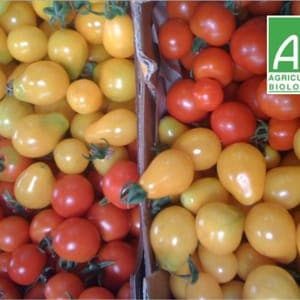 tomate cerise