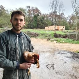 Ferme du Caillaud #3