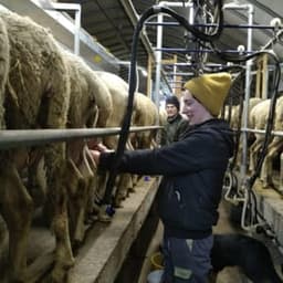 La ferme commune #8