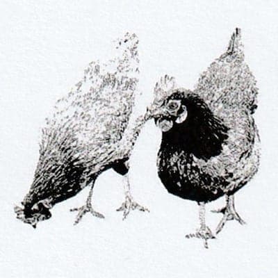 Logo de La Ferme des Loges distribution Proludic