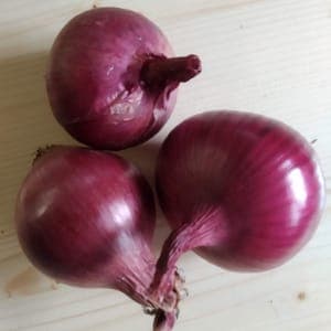 Oignon