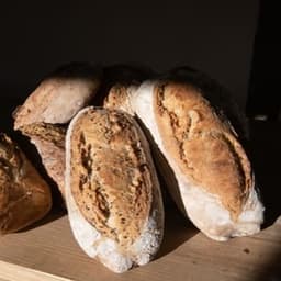 Le fournil de Lescale #4