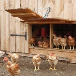 Ferme du Caillaud #7