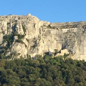 Miel de fleurs de la sainte Baume, label rouge