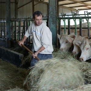 Elevage des trois cheminées