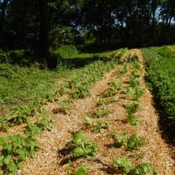 La Ferme des Jeannots #7