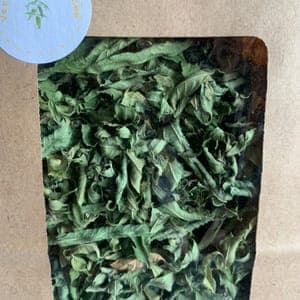 plante pour infusion : Verveine citronnée