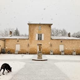 Château du Grand Bos #5