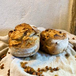 Pain Fruits Noisettes Raisins