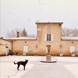 Château du Grand Bos #1