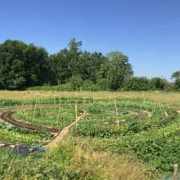 Herb' O Jardin #1