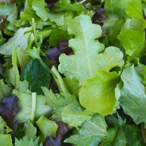 Mesclun