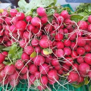 Radis Ronds Rouges