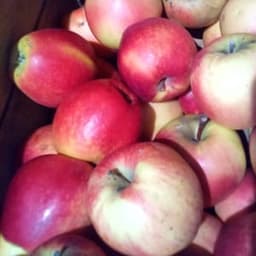  Fruits de Saisons Ract-Gras #7