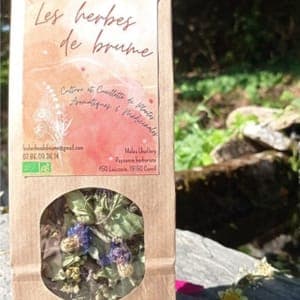 Tisane "la détendue"