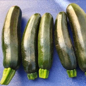 Courgettes