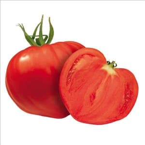 Plant Tomate Cœur de Bœuf Cardinal (Lourdes)