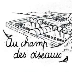 Au champ des oiseaux 