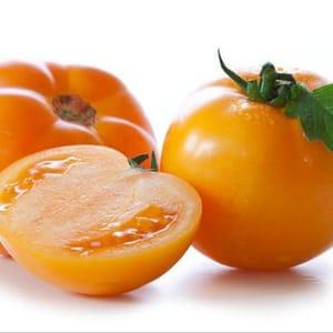 Plants de tomates russian persimon
