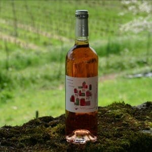 Bergerac Rosé Voisins-Voisines 2022