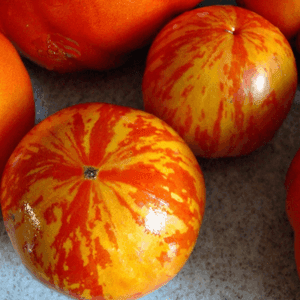 Plant Tomate - Red Zebra