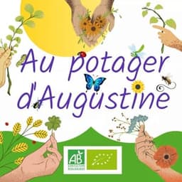Au potager d'Augustine  #6
