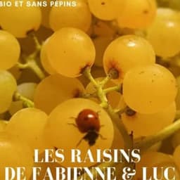 ducos fabienne #8