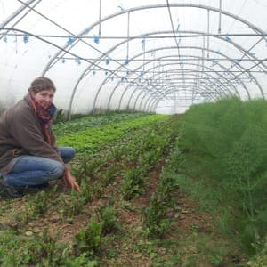 Ferme de Marou