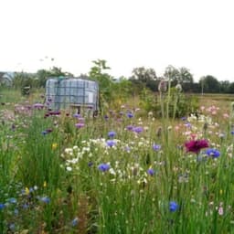 Les jardins naturels de la garenne #7