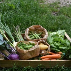 Grand Panier de légumes de la Semaine