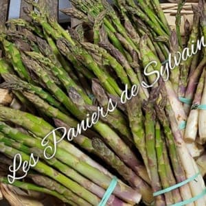 Asperges