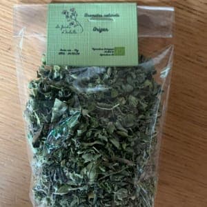 Aromates : Origan