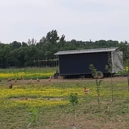 le jardin de Souleymane #5
