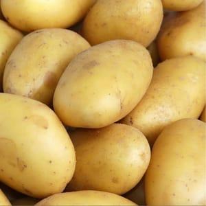 2- pommes de terre nouvelles