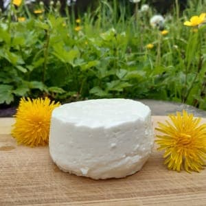 Fromage frais nature / Verse kaas natuur