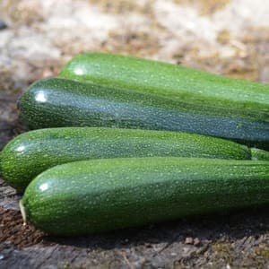 Courgette verte