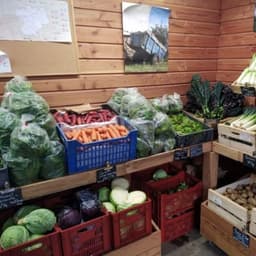 Logo de Au Puy de légumes - Point de vente à la ferme