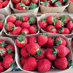 Fraises