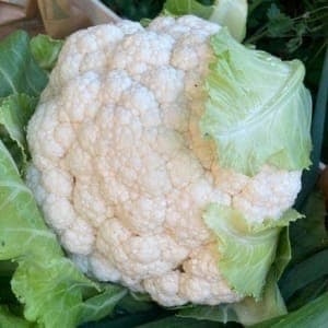 Chou fleur