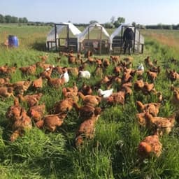 La Ferme d'Après #4