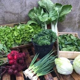 La Ferme d'Après #5