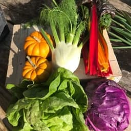 La Ferme d'Après #2