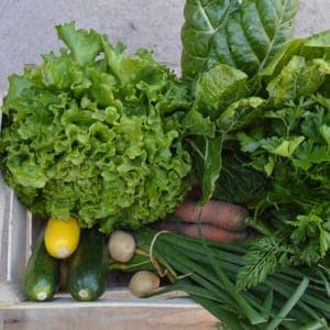 Panier