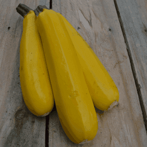 Courges