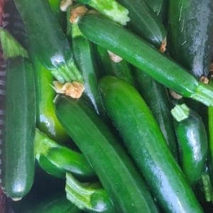 COURGETTE AU KG