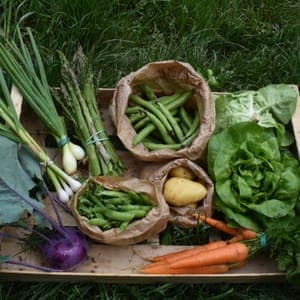 Grand Panier de légumes de la Semaine XXL