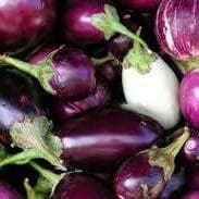 Aubergines