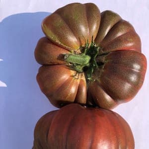 Tomates Noir de Crimée