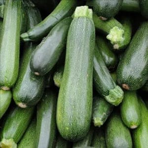 Courgette longue verte